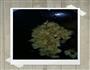 苹果鸡蛋饼的做法图解1
