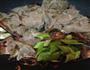 豆豉红薯粉炒腊肉的做法图解5