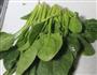 菠菜肉丸汤的做法图解1