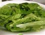 麻酱生菜的做法图解1