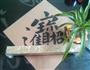 红糖核桃饼干的做法图解10