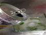 mojito的做法图解4