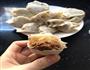 胡萝卜牛肉饺子的做法图解6