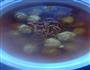 养生虫草花肉丸汤的做法图解4