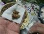 白菜大葱牛肉馄饨的做法图解2