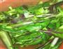 美味红菜苔的做法图解1