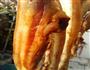 客家风味腊肉的做法图解5