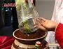 青椒酸（突出清香辣味）的做法图解3