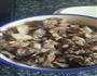 熬肉的做法图解5