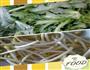 茼蒿菜炒豆芽的做法图解1
