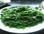 野菜春卷的做法图解1