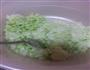 牛轰轰的牛肉水饺的做法图解3