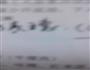 爆腰花的做法图解1