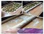 葱香花卷的做法图解5