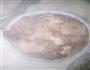 家常熊掌豆腐的做法图解6