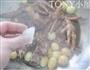 豆豉凤爪排骨煲的做法图解12