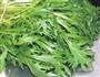 糖醋银丝芥菜的做法图解1