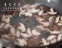 简简单单的香菇小炒肉的做法图解6