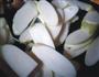 虫草花豆瓣炒茭白的做法图解5