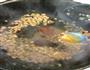 麻婆豆腐的做法图解6