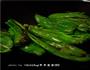 虎皮青椒的做法图解6