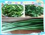 豆腐韭菜炒肉末的做法图解2