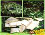豆腐韭菜炒肉末的做法图解6