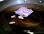 蒜泥白肉的做法图解1