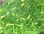 韭菜苔炒肉丝的做法图解9