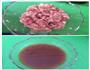 麻辣豆腐的做法图解4