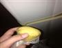小熊抱杏仁饼干的做法图解3