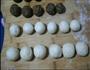 牛舌饼的做法图解9