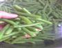 豇豆炒肉的做法图解1