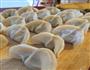 第一次包饺子和馄饨的做法图解6