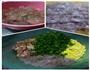 虾仁鸡蛋韭菜肉饺子的做法图解1