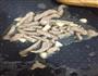 肉丝豆腐的做法图解2