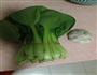 蒜炒油菜的做法图解1