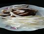 青菜炒香菇的做法图解1