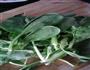 青菜炒香菇的做法图解2