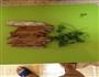 香干芹菜的做法图解3