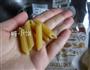 意式辣番茄酱斜管面的做法图解6