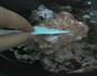 花生牛轧糖的做法图解5