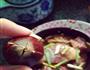 栗子烧排骨的做法图解3