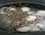 枸杞冰糖印花茶叶蛋的做法图解7
