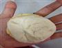 蜜豆菠萝包的做法图解13