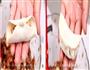野山菌豆腐蒸饺的做法图解8