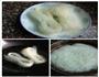 私房素春卷的做法图解1