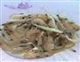 蒜蓉粉丝虾的做法图解1