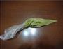 彩绘苹果抹茶蛋糕卷的做法图解10