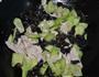 荤素搭配的传统鲁菜-木须肉的做法图解6
